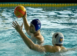 ilustran foto